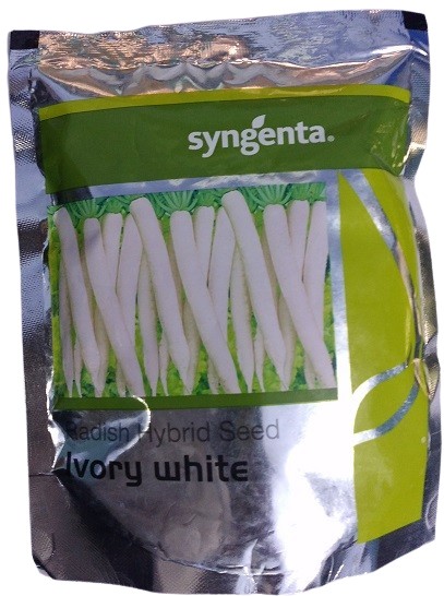 Syngenta Ivory White Radish Hybrid Seed