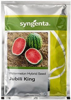 Syngenta Jubili King Watermelon Hybrid Seeds