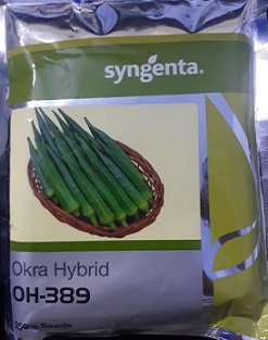 Syngenta Oh 389 Okra Hybrid Seed