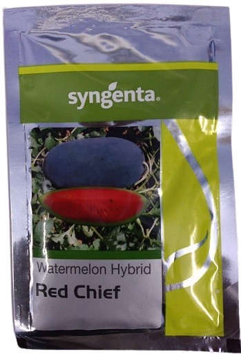 Syngenta Red Chief Watermelon Hybrid Seed