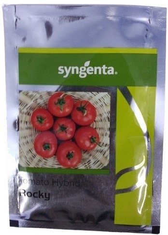 Syngenta Rocky Hybrid Tomato Seed