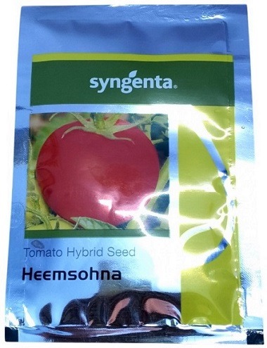 Syngenta HEEMSOHNA Hybrid Tomato Seed