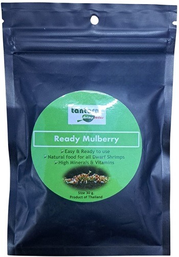 Tantora Shrimp Series Ready Mulberry