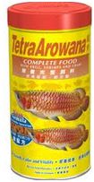 Tetra Arowana 