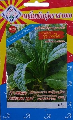 Triple A Dinosaur Kale Gardening Seeds