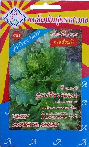 Triple A Green Ornamental Cabbage Gardening Seeds