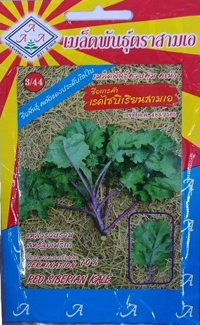 Sam A Red Siberian Kale Gardening Seeds