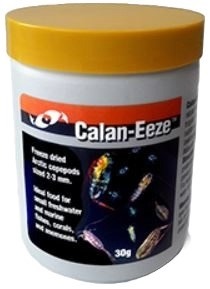 Two Little Fishies Calan Eeze