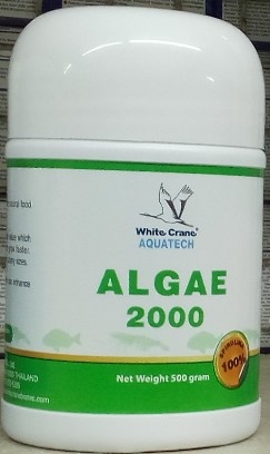 White Crane Algae 2000 Bulk Pack 500gm