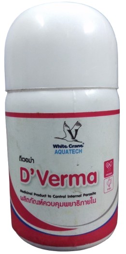 White Crane D Verma 