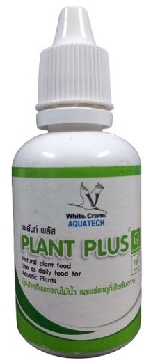 White Crane Plant Plus