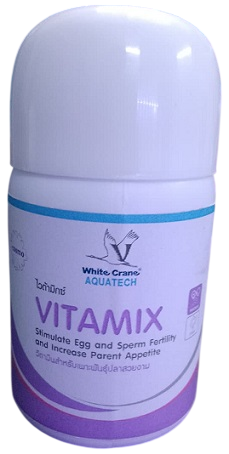 White Crane Vitamix