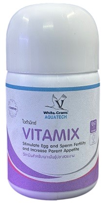 White Crane Vitamix
