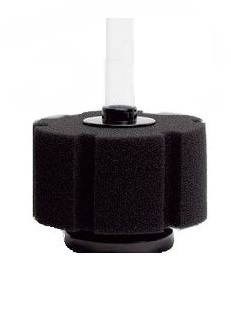 Xy 2812 Hydro Sponge Filter