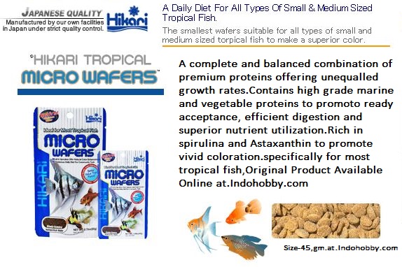 hikari aquarium fish food